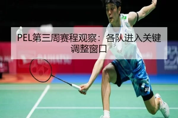 PEL第三周赛程观察：各队进入关键调整窗口